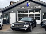 Mercedes-Benz SL 500 Cabrio - Mercedes-Benz SL 500 aus 1996