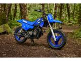 Yamaha PW 50  - YAMAHA PW 50