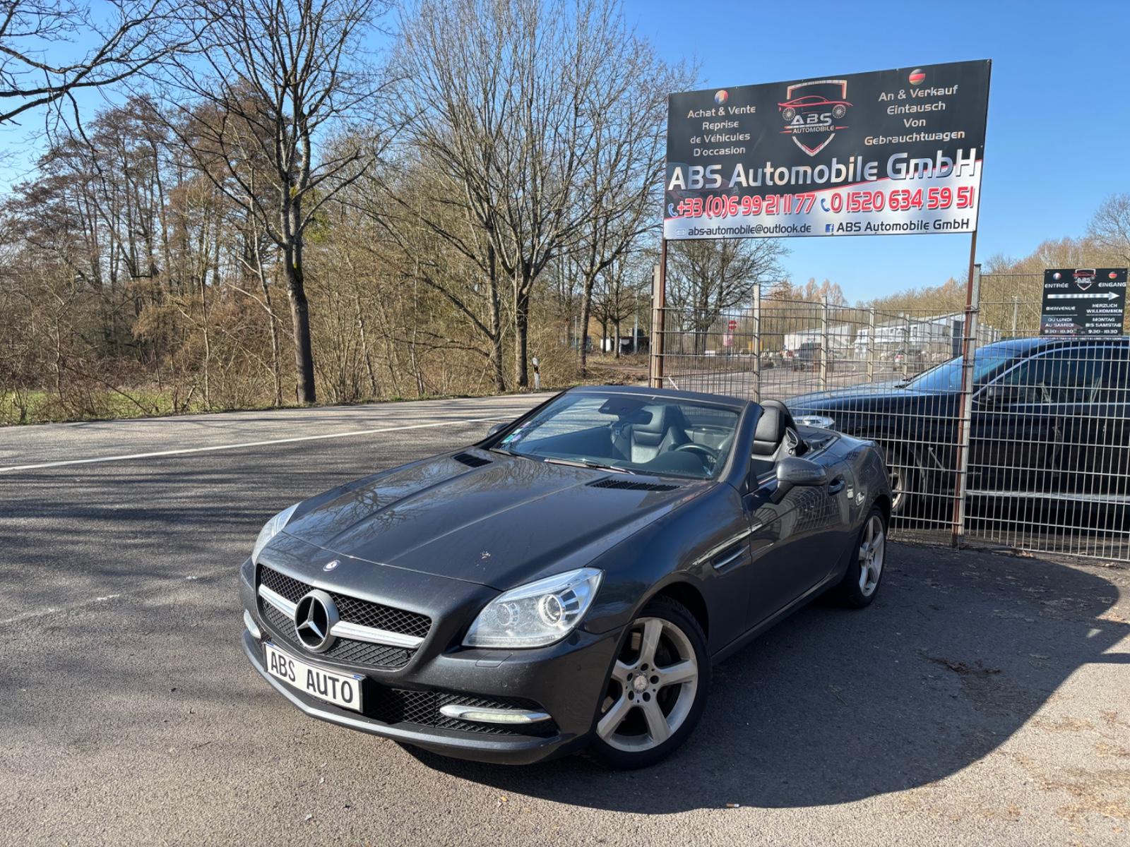 Mercedes-Benz SLK 250 SLK Roadster SLK 250 BlueEfficiency