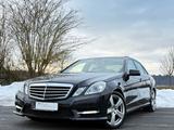 Mercedes-Benz E 220 CDI AMG-Line *Pano*ILS*TÜV NEU* - Mercedes-Benz E 220 aus 2012 mit Diesel-Antrieb: Limousine