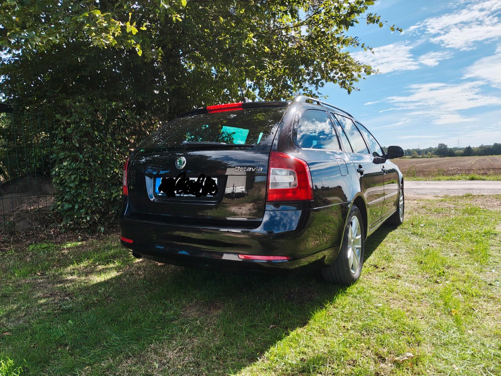 Skoda Octavia 2010 — двигун 1.197 cm³, 105 HP (77kW)