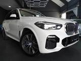 BMW X5 XDRIVE 30 D M-PAKET/PANO/AHK/INDIVIDUAL - BMW X5: 3.5