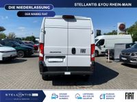 Fiat Ducato - Vorschau Bild 7