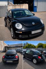 Volkswagen VW Beetle Freestyle 1.9 TDI - Sportausstat... - Volkswagen New Beetle: Freestyle