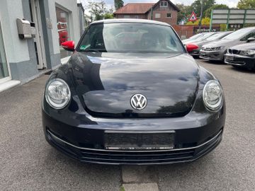 Volkswagen Beetle - 2