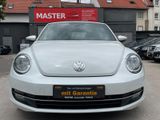 Volkswagen Beetle Cabriolet Cup *AUTOMATIK*PDC*60'S LOOK - Volkswagen Beetle: Auto