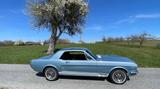 Ford Mustang,Original V8, Automatik - Ford Mustang: Original