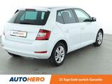 Skoda Fabia 1.0 TSI Ambition*NAVI*ACC*CAM*PDC*KLIMA* - Skoda Fabia: Schiebedach