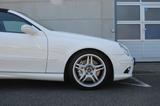 Mercedes-Benz CLK 55 AMG Cabrio / super Zustand / wenig KM - Mercedes-Benz: 55 Clk