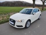Audi A3 1.6 TDI (CLHA-Motor), 1. Hd., Original 53 tkm - Audi A3: Motor