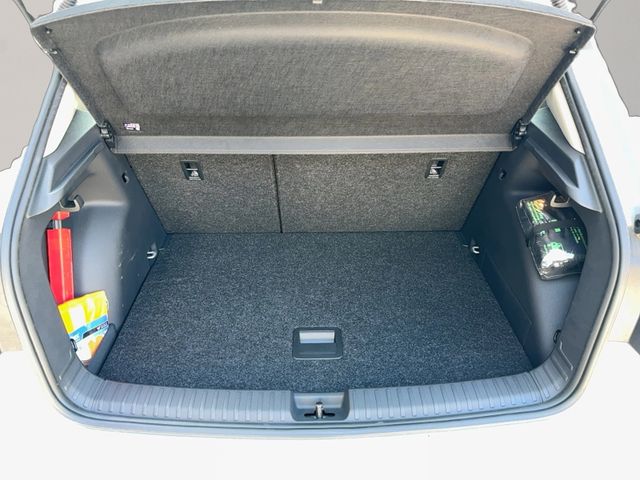 Fabia Selection 1.0 TSI, Rückkamera, Kessy, Wint