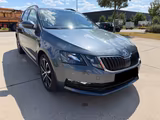 Skoda Octavia Combi Soleil 2.0TDI GreenTec - Skoda Octavia: Winterreifen