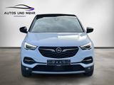 Opel Grandland 120 Jahre* Bi-LED-Scheinwerfer*DAB*RFK - Opel Grandland (X) 120-Jahre