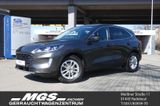Ford Kuga 1.5 'Titanium' #TEMP #AHZV #APPLINK - Ford Kuga Gebrauchtwagen Dresden