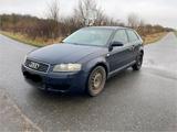 Audi A3 8p 1,6 LZ5j - Audi A3 aus 2003: 8p