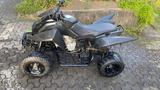 Access Motor Triton 450 | Black Lizzard - QUAD VON 251 BIS 500 CCM