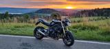 Triumph Street Triple 675 - NAKED BIKE VON 501 BIS 750 CCM