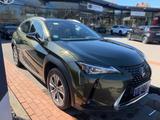 Lexus UX 300e - ACC-Belü.Sitze-Memory-Leder-Kamera-17Z - Lexus aus 2021