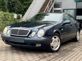 Mercedes-Benz CLK 230 KOMPRESSOR ELEGANCE TÜV NEU!!!! - Mercedes-Benz CLK 230 in Köln