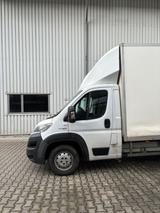 Fiat Ducato - Fiat Ducato Gebrauchtwagen