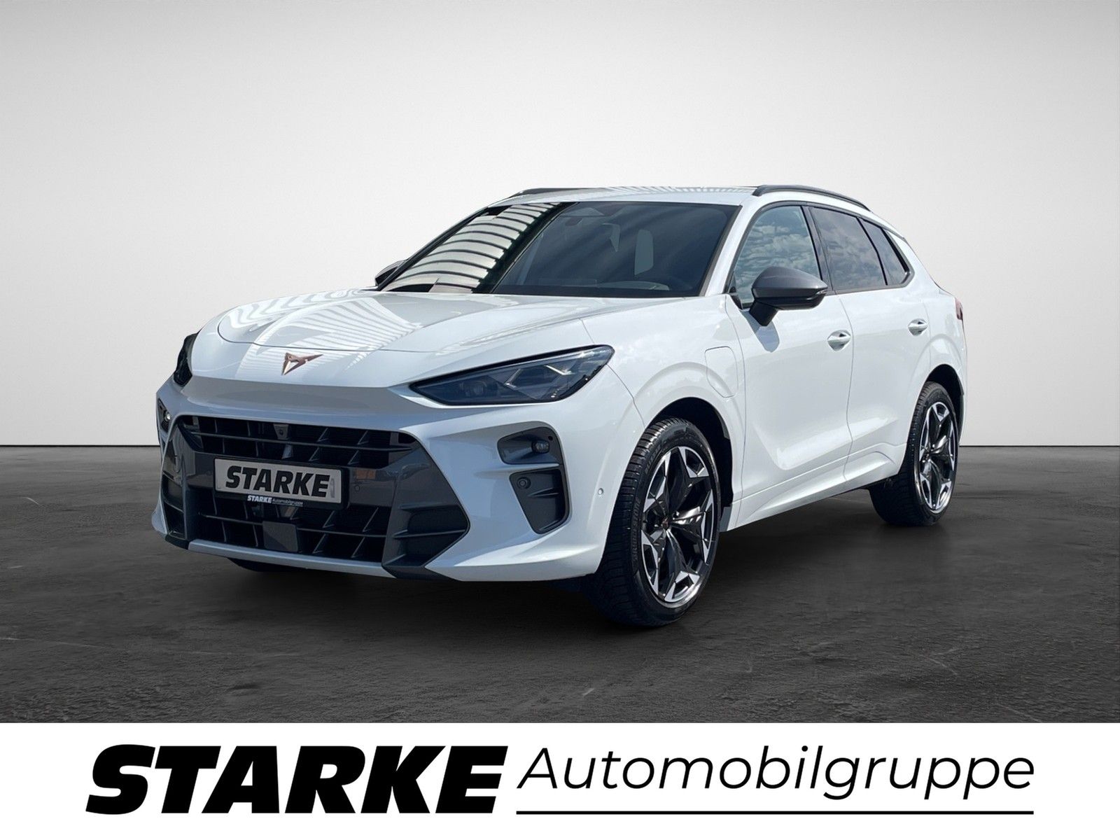 Cupra Terramar 1.5 e-Hybrid DSG  HeadUp Navi LED Kamer imagem 2