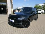 Land Rover Range Rover 4.4 SDV8 Vogue Black Pack - Land Rover: Sd4