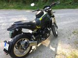 Benelli Leoncino 500 Trail *technisch und optisch top* - BENELLI LEONCINO