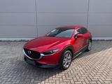 Mazda CX-30 X 2.0 6AG AL-SELECTION A18-B DES-P PRE-P - scheckheftgepflegte Mazda Gebrauchtwagen