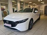 Mazda 3 / NAVI / 1. Hand / 8-fach-bereift / BOSE - Mazda 3 aus 2022