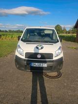 Fiat scudo - Fiat Scudo von privat