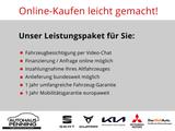Kia Ceed 1.5T / UPE: 35.950,- € / GT-LINE ACC JBL BT - Kia cee'd / Ceed Gebrauchtwagen