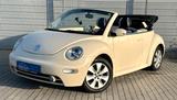 Volkswagen New Beetle Cabriolet 1.6 Highline - Volkswagen New Beetle: Beige