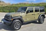 Jeep JEEP Wrangler Unlimited 2.0 Turbo Rubicon - Jeep Wrangler mit Benzin-Antrieb: Cabrio