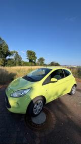 Ford Ka/Ka+ 1,2 Trend Trend - Ford Ka/Ka+ in Hamm