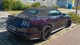 Ford Mustang 5.0 Ti-VCT V8 GT Auto GT - Ford Mustang Gebrauchtwagen in Duisburg