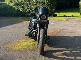 Harley-Davidson Sportster Iron XL 883 | Matt - HARLEY-DAVIDSON 883 SPORTSTER