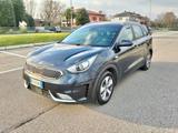 Kia Niro 1.6 GDi DCT HEV 105Cv Automatic*Start&S - Kia Niro Kombi Gebrauchtwagen
