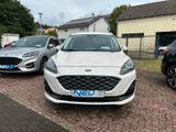 Ford Kuga PHEV Vignale Leder + Head UP - Ford Kuga: Leder