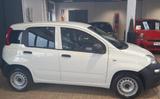 Fiat FIAT Panda 1.0 GSE S&S Hybrid Pop Van 2 posti - Fiat Panda POP mit Hybrid-Antrieb (Benzin/Elektro)
