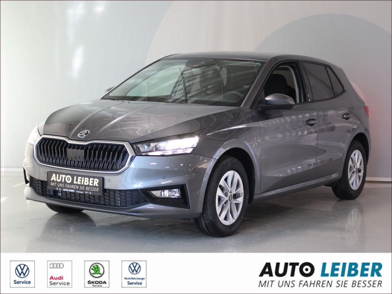 Fahrzeugabbildung SKODA Fabia 1.0 TSI Selection RFK/PDC/APP/beheizbare