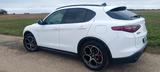 Alfa Romeo Stelvio 2.2 Diesel 16V 154kW B-Tech AT8-Q4 B... - Alfa Romeo Stelvio mit Diesel-Antrieb: Automatik