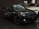 MINI Cooper S Cabrio Automatik/Navi/Shz/Temp/Kam/H&K