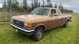 Ford F250 XLT Lariat - Bricknose 1991 - Ford F 250: Lariat