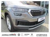 Skoda Kodiaq 1.5 TSI DSG Tour - Skoda Kodiaq Gebrauchtwagen in Dresden