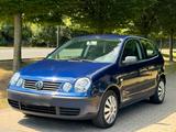 Volkswagen Polo 1.2 TÜV 12/25 sehr sauber - Volkswagen Polo aus 2003 mit Benzin-Antrieb: Kleinwagen, Klimaanlage, 1.2