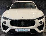Maserati Levante Modena S, ACC, LED, Keyless Go, - weiße Maserati Levante