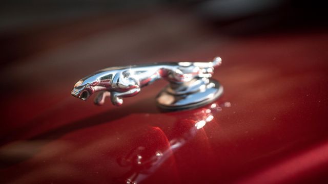 Fahrzeugabbildung Jaguar XJ8 3.5 Liter Sovereign im Bestzustand