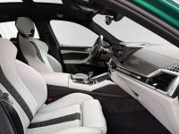 BMW X6 M - Vorschau Bild 17