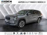 Skoda Kodiaq 1.5 TSI DSG SELECTION 7S LED SH NAVI KAM - Skoda Kodiaq Tageszulassungen