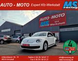 Volkswagen Beetle Lim. Bi-Xenon*Navi*Tüv NEU - Volkswagen Beetle: Kleinwagen